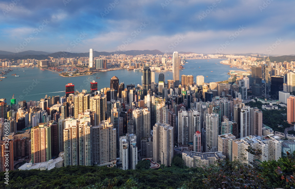 Fototapeta premium Hong Kong at day, China skyline - aerial view