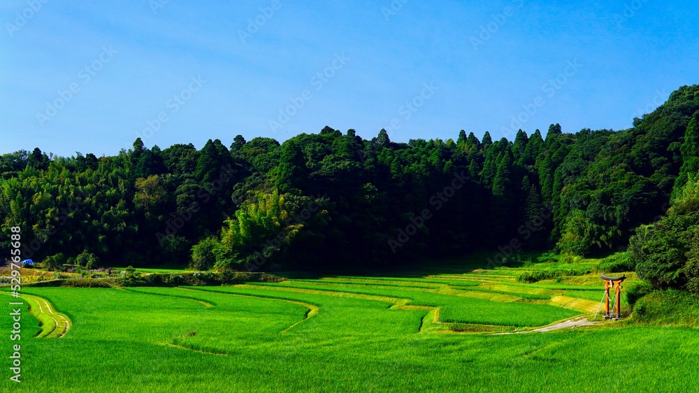 緑豊かな日本の田園風景