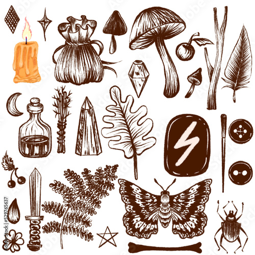 A set of elements for magic, natural materials, for decoration and decor.