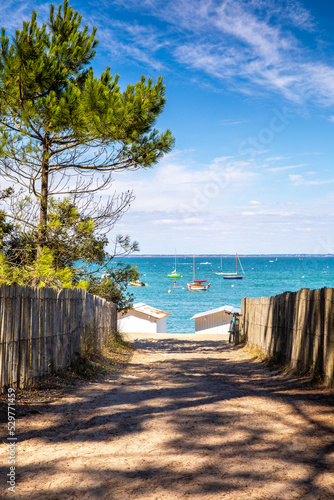 Paysage de bord de mer sur l   le de Noirmoutier en Vend  e  France.