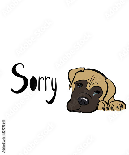 sorry puppy who cry 