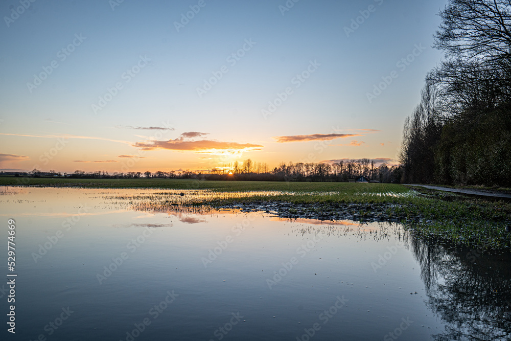 Obraz premium Rainy fields