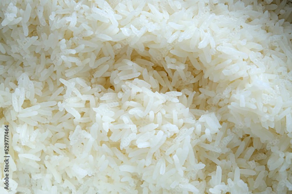 Close-up photo of cooked rice Close-up photo of cooked rice