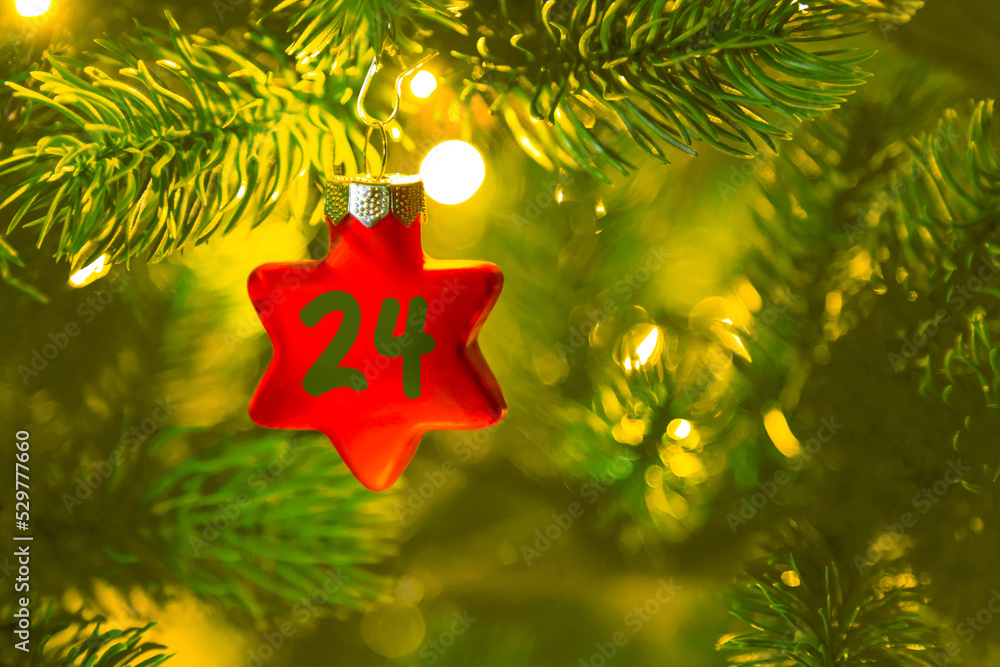 ein roter Stern mit einer Zahl (24) am Weihnachtsbaum, Weihnachtskalender
