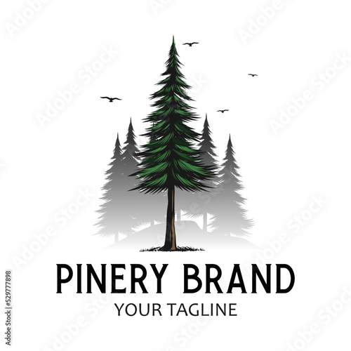 pine tree illustration vector image for logo 