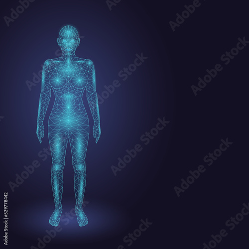Glowing hologram of a female silhouette on a dark blue background. Vector template with copy space. Low-poly line model of a woman standing full height in cyberspace