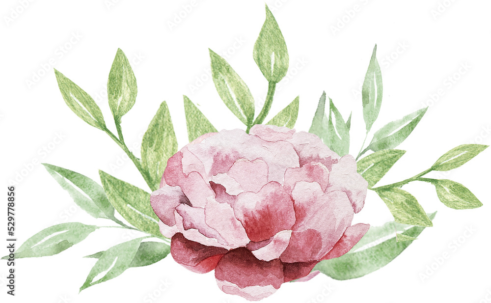 Watercolor composition with flowers and greenery. Peony and leaves illustration. Mother's Day, wedding, birthday flower image. Watercolor composition with flowers and greenery. Peony and leaves illustration. Mother's Day, wedding, birthday flower image.