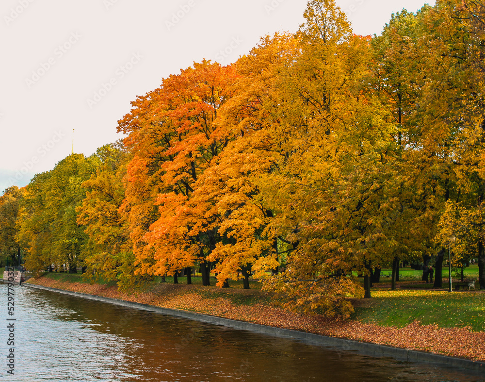 Autumn trees with yellow foliage in the park by the river. Landscape of an autumn park with trees, fallen leaves, a river. Autumn mood. Autumn landscape. Autumn trees with yellow foliage in the park by the river. Landscape of an autumn park with trees, fallen leaves, a river. Autumn mood. Autumn landscape.