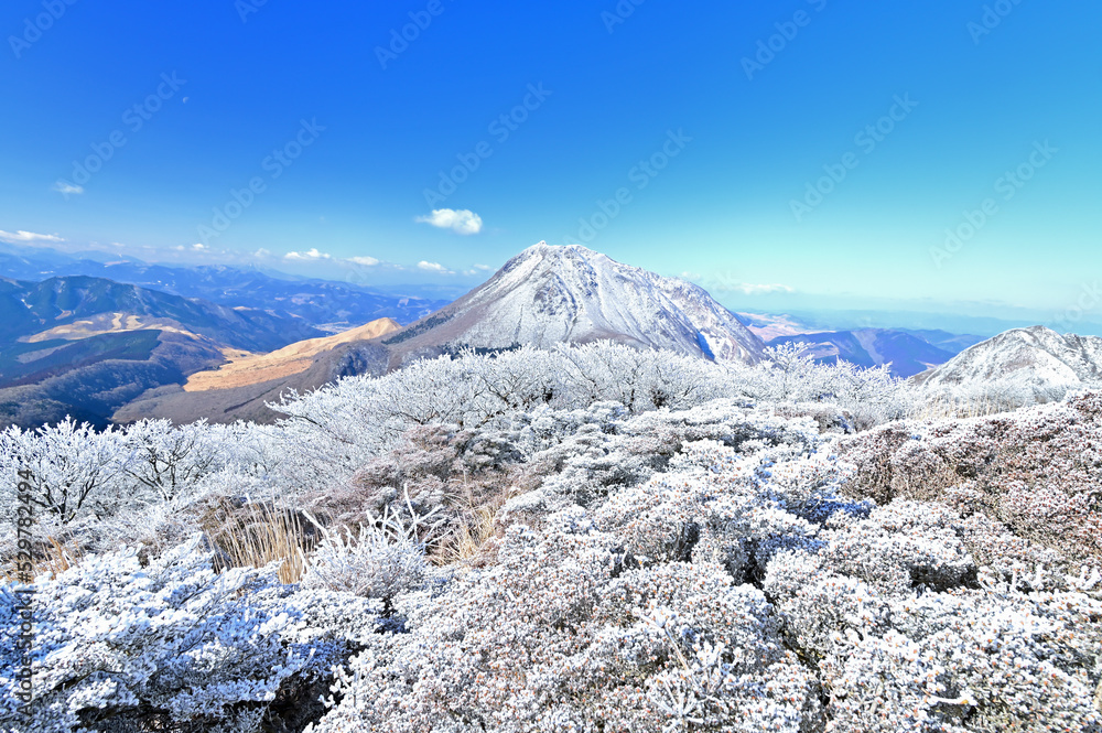 鶴見岳山上の冬景色　由布岳背景　大分県別府市