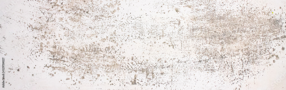 グレーの手描き水彩テクスチャ
gray watercolor texture, hand drawn グレーの手描き水彩テクスチャ
gray watercolor texture, hand drawn