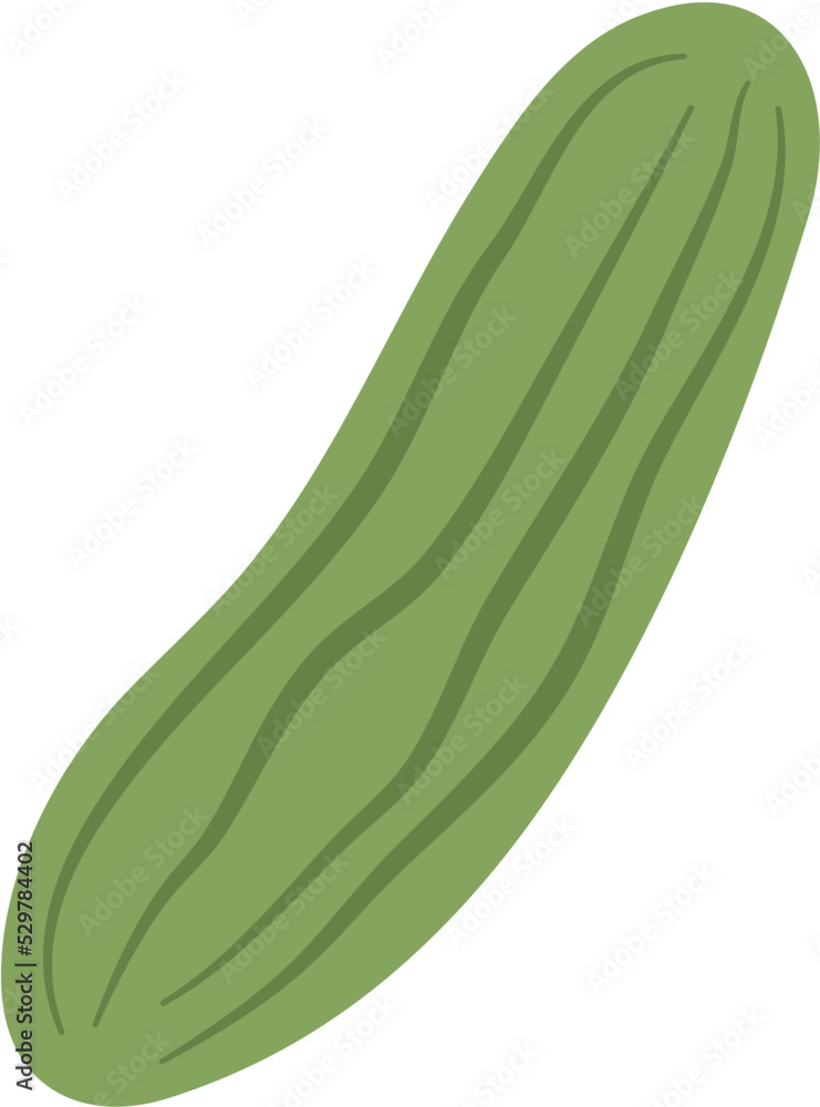 Flat Cucumber Illustration Flat Cucumber Illustration