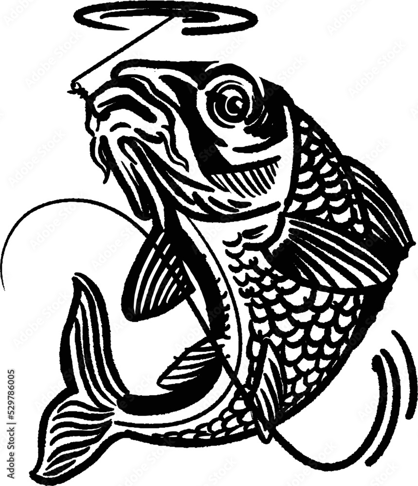 Fototapeta premium vector illustration Carp fish isolated on white background