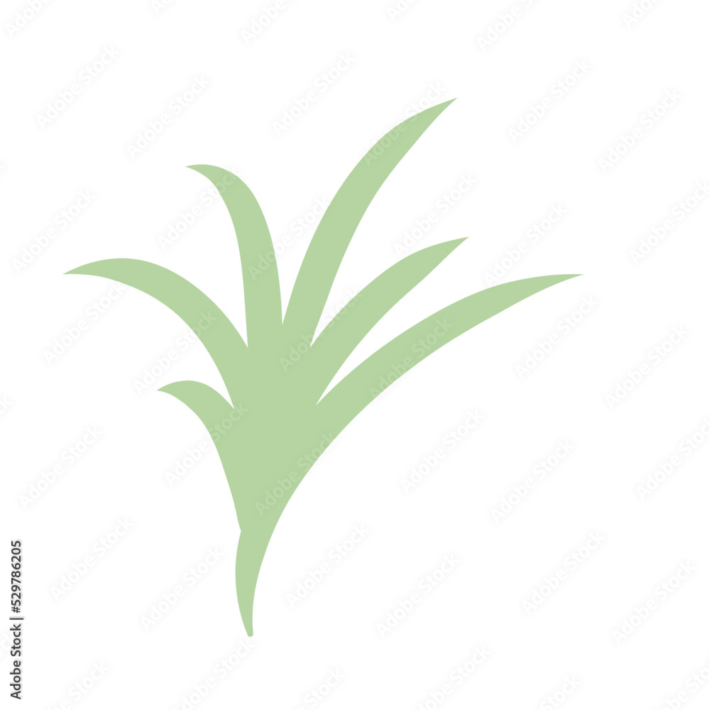 green plants set with clover dandelion chives plantain green plants set with clover dandelion chives plantain