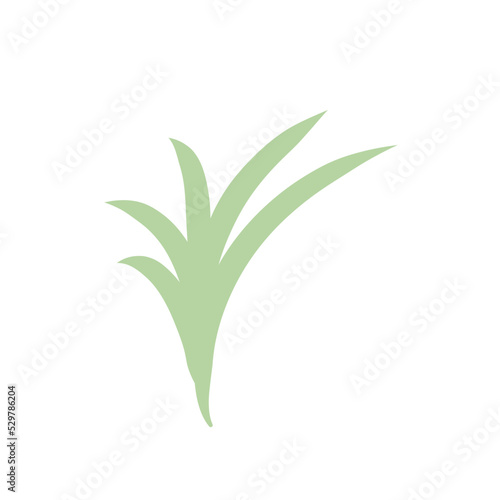 green plants set with clover dandelion chives plantain