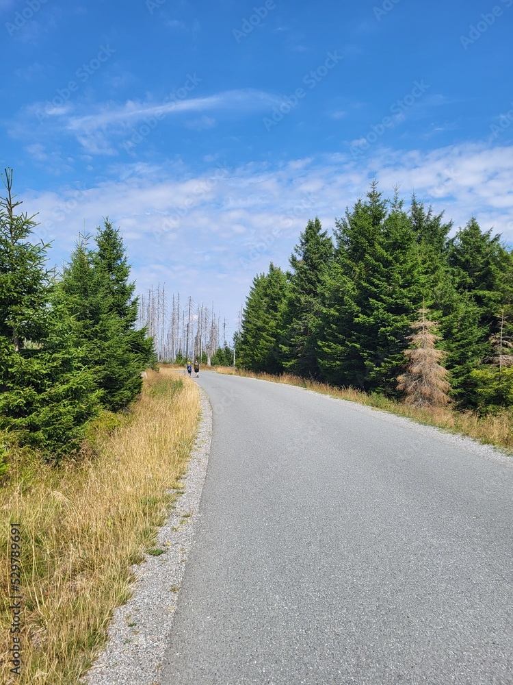 Fototapeta premium Brocken Wanderung