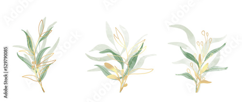 Fotografiet Set of watercolor botanical element vector