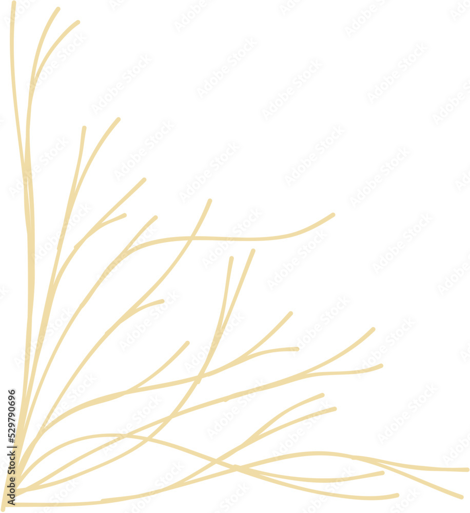 Nature Plant Corner Border Nature Plant Corner Border