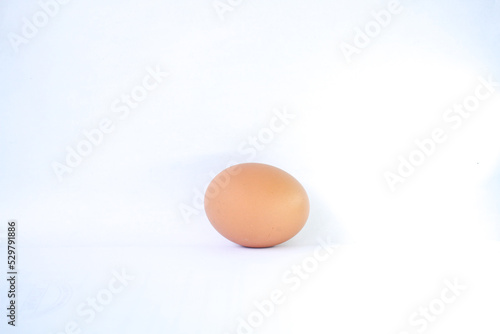 One chicken egg. Isolated on white background
