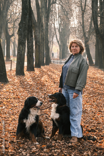 woman with dogs