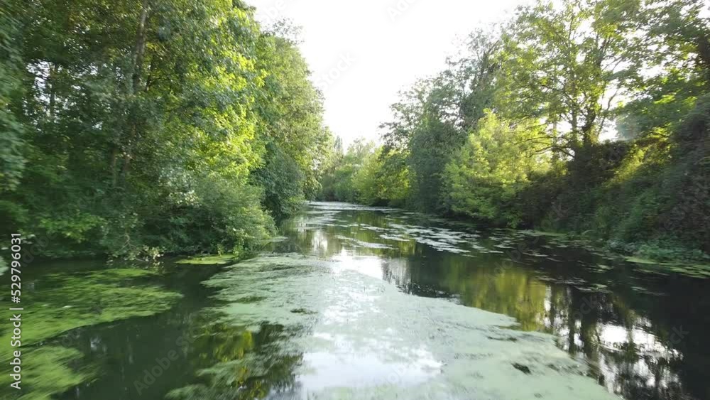 balade aérienne au dessus d'une rivière naturelle et boisé. balade aérienne au dessus d'une rivière naturelle et boisé.