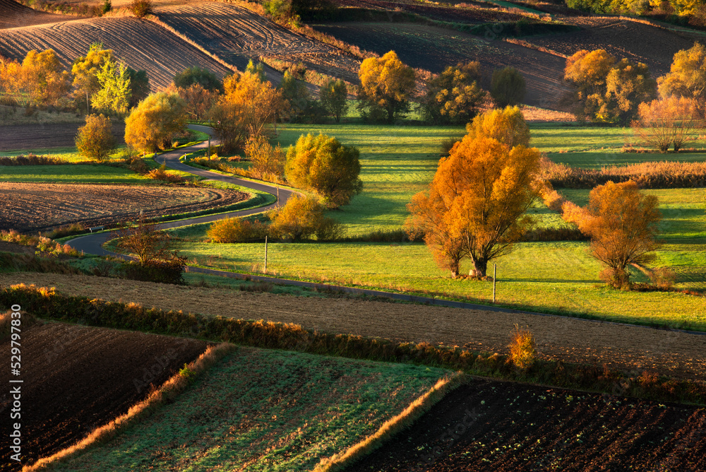 Autumn, view of the road and farmland - Ponidzie, Poland.
Jesień, widok na drogę i pola uprawne - Ponidzie, Polska. 
 - obrazy, fototapety, plakaty 