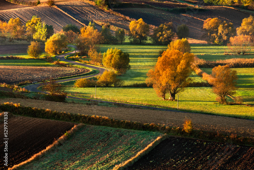 Autumn, view of the road and farmland - Ponidzie, Poland.
Jesień, widok na drogę i pola uprawne - Ponidzie, Polska. 
