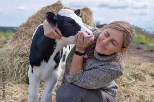 Obraz na płótnie pretty black-white new born calf posing with farmer. close up w salonie