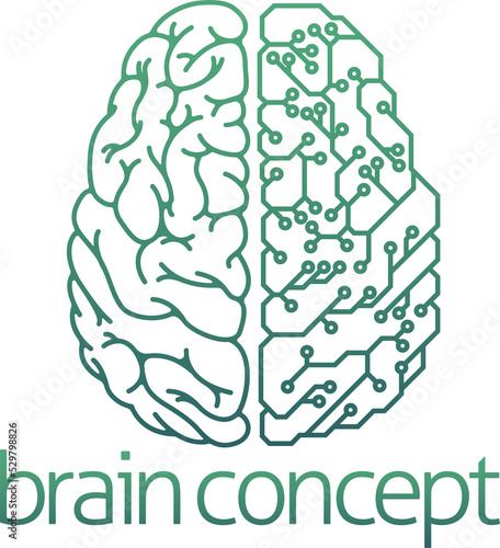 Brain half electrical circu...