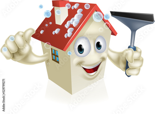 House Holding Squeegee