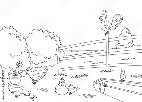 Funny chicken hen farm bird yard graphic black white landscape sketch illustration vector