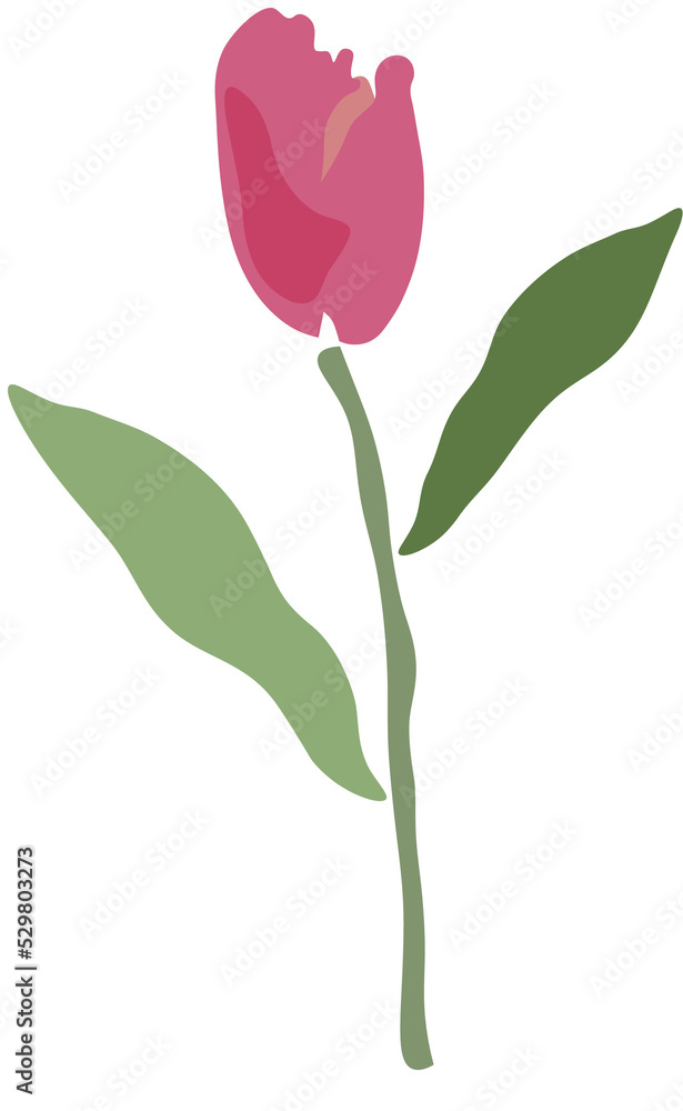 tulip isolated picto png with transparent background tulip isolated picto png with transparent background