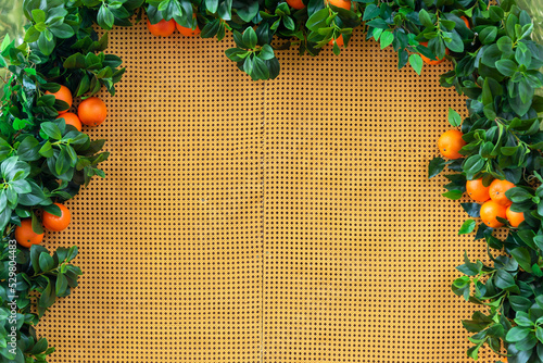 Border made of orange trees. Oranges hanging on branches making a frame in the garden with space for text.