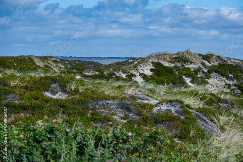 Typische, wunderschöne Dünenlandschaft im nördlichen Naturschutzgebiet der deutschen Nordseeinsel Sylt mit der charakteristischen Vegetation, viel Copyspace, Meer im Hintergrund