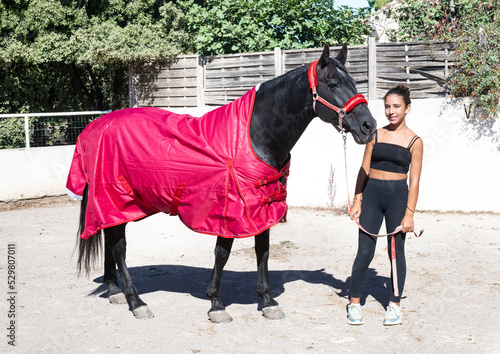  horse and blanket