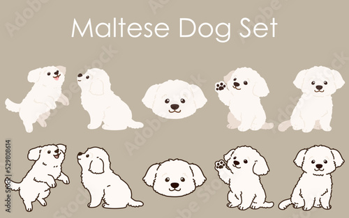 Simple and adorable white Maltese dog illustrations set photo
