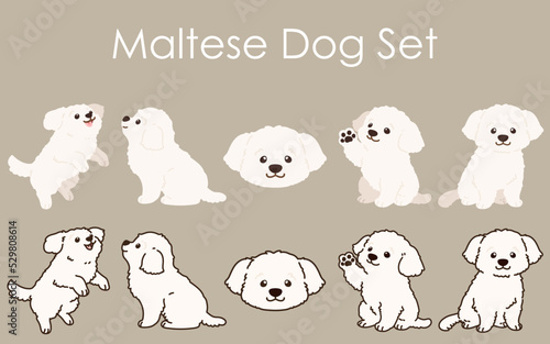 Simple and adorable white Maltese dog illustrations set
