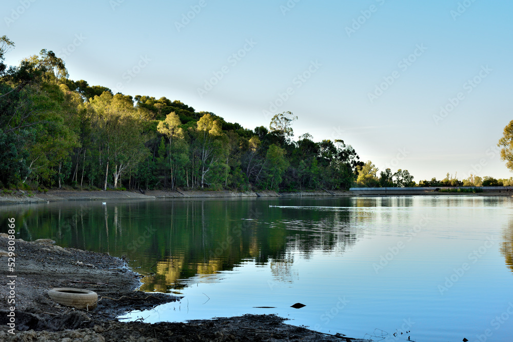 paisaje de un lago con el bosque de pinos y eucaliptos