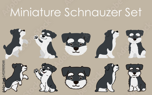 Simple and cute Miniature Schnauzer illustrations set
