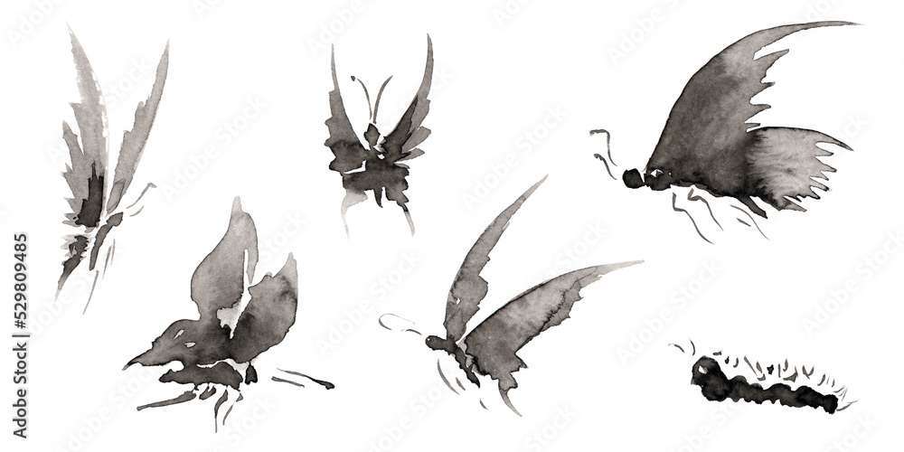 Bitmap Images Butterfly Set 6 with five differents forms butterfly and caterpillar pictures ...