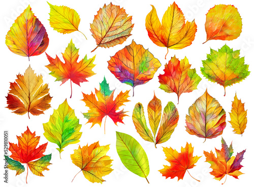 Isolated colorful autumn tree leaves  digital illustration based on render by neural network