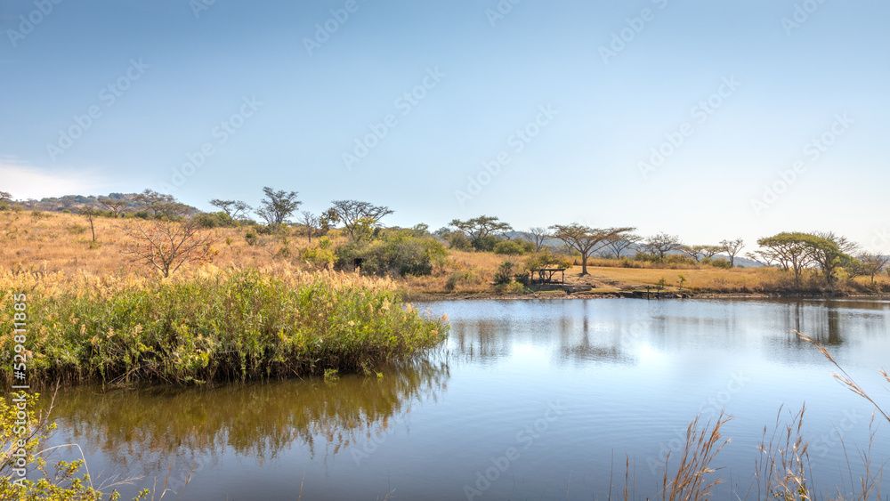 View of landscape of the Lowveld in the heart of Mpumalanga, South Africa.
View of landscape of the Lowveld in the heart of Mpumalanga, South Africa.