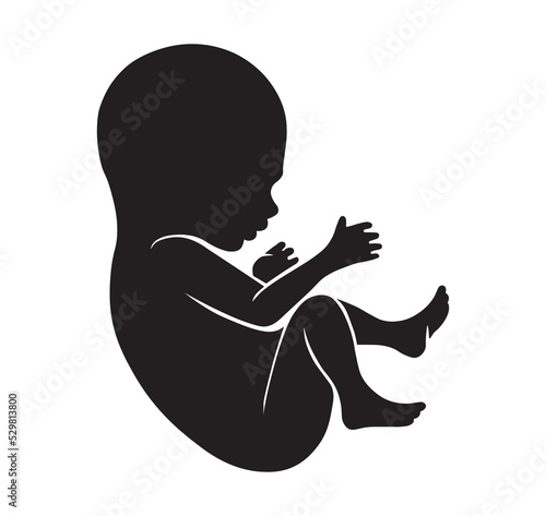 Newborn silhouette. Human fetus icon or newborn and unborn baby silhouette isolated.