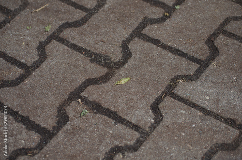 pavement with a pattern and a small leaf