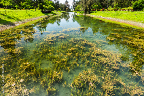 Beautiful view of Pipa Lake at Taitung Forest Park in Taiwan. The scenic Pipa Lake is a habitat of aquatic animals and plants.