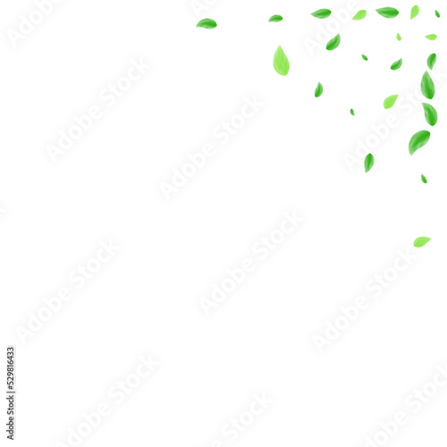 Green Foliage Background White Vector. Plant Subtle Frame. Realistic Texture. Greenish Herbarium Illustration. Greenery Template.