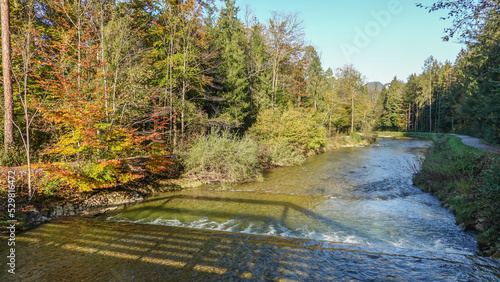 Herbstwanderung am Auerbach bei Oberaudorf