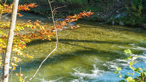 Herbstwanderung am Auerbach bei Oberaudorf