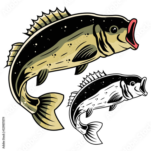 Bass fish fishing vector illustration