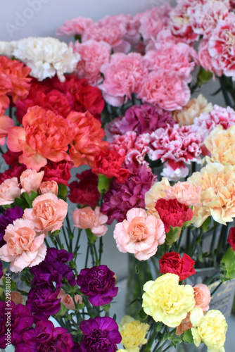 carnation flowers background. fresh blooming flowers in  shop for sale