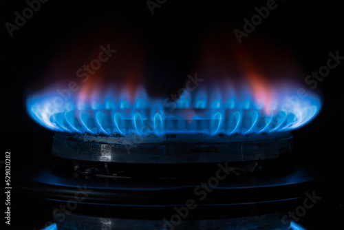 The gas burner burns with a blue flame on a dark background, selective focus. Concept: gas heating, increase in gas prices and electric carriers.